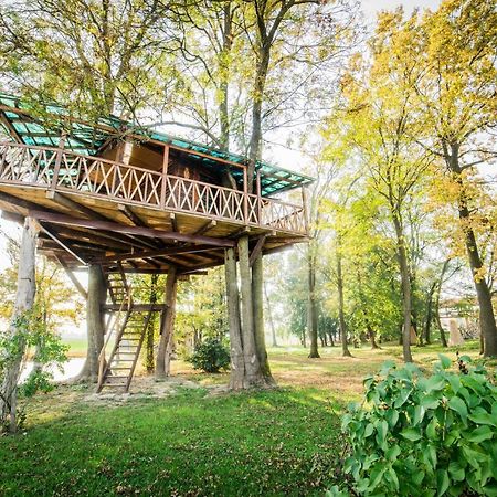 Ethno Village Stanisici 비옐리나 외부 사진